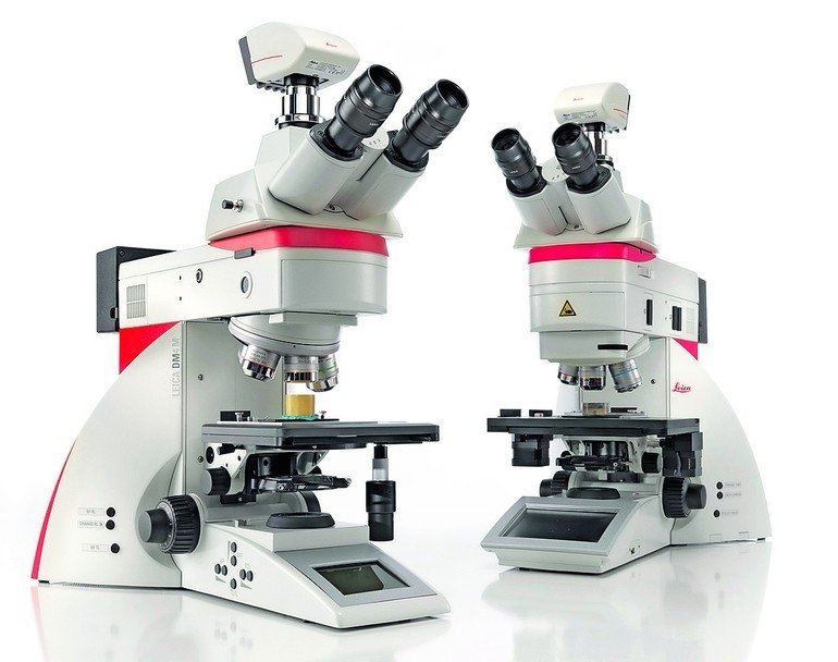 Automatisierte aufrechte Mikroskope für zuverlässige Ergebnisse
